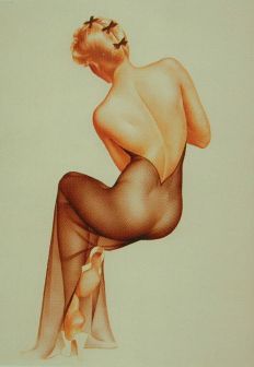 Evolution 061